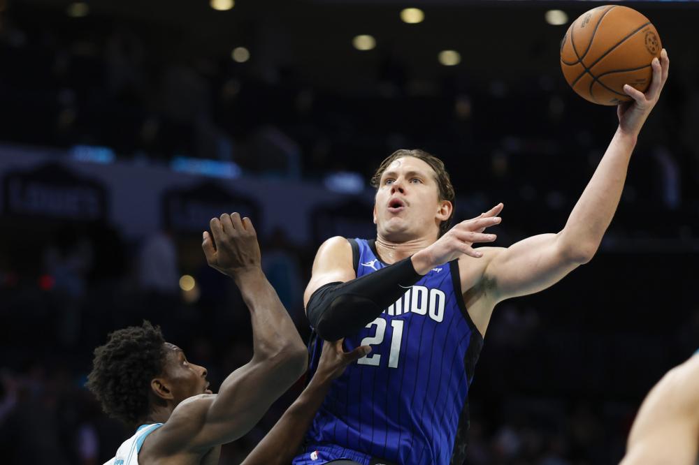 极强的嗅觉 极强的嗅觉