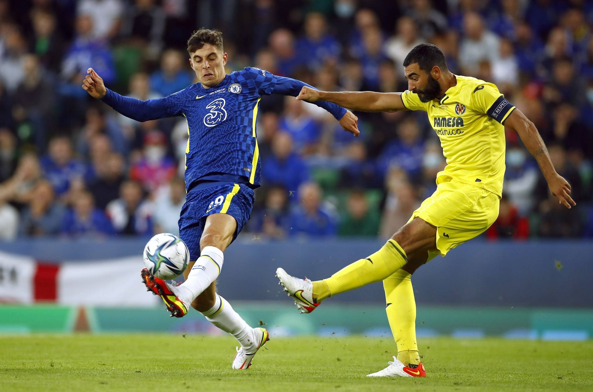 他们的每一 他们的每一