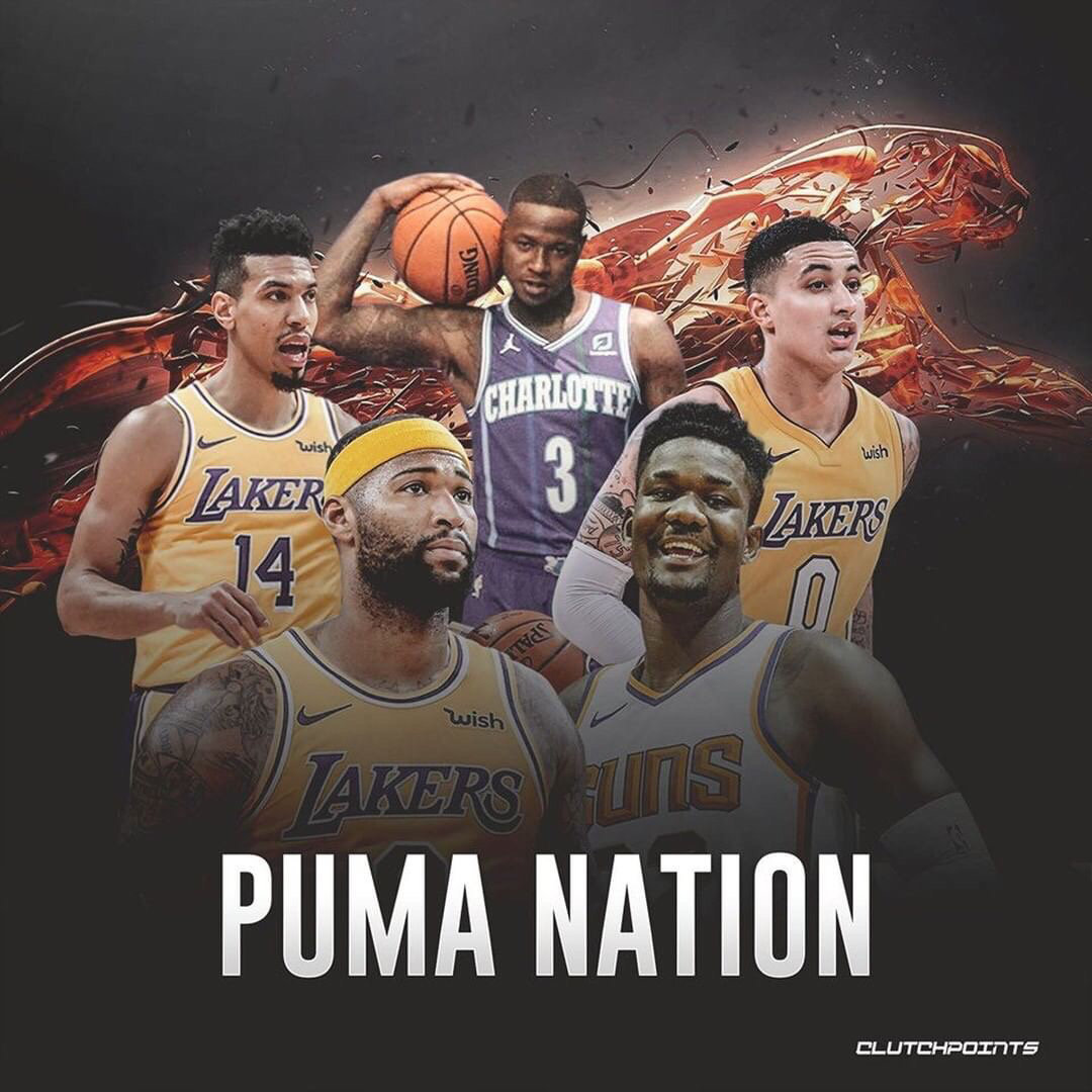 种拳击文化 种拳击文化